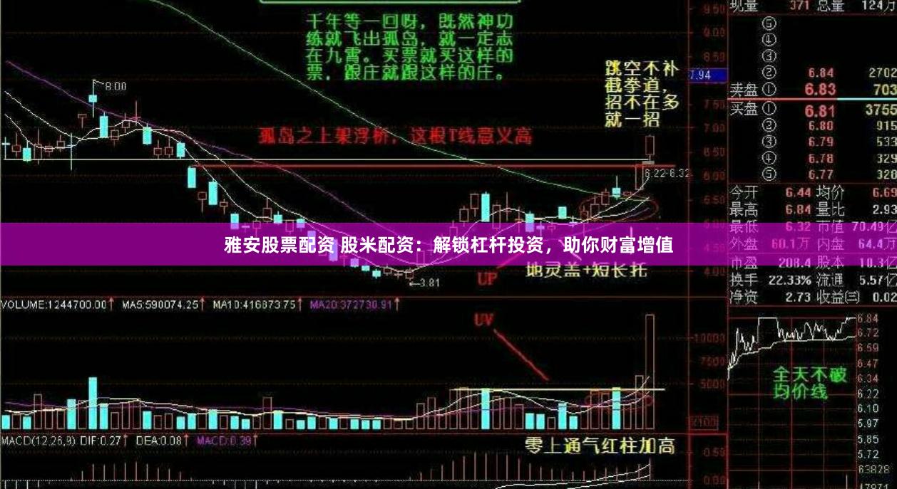 雅安股票配资 股米配资：解锁杠杆投资，助你财富增值
